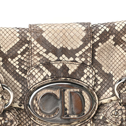 Christian Dior Snakeskin Saint Germain Bag Beige 6 of 8