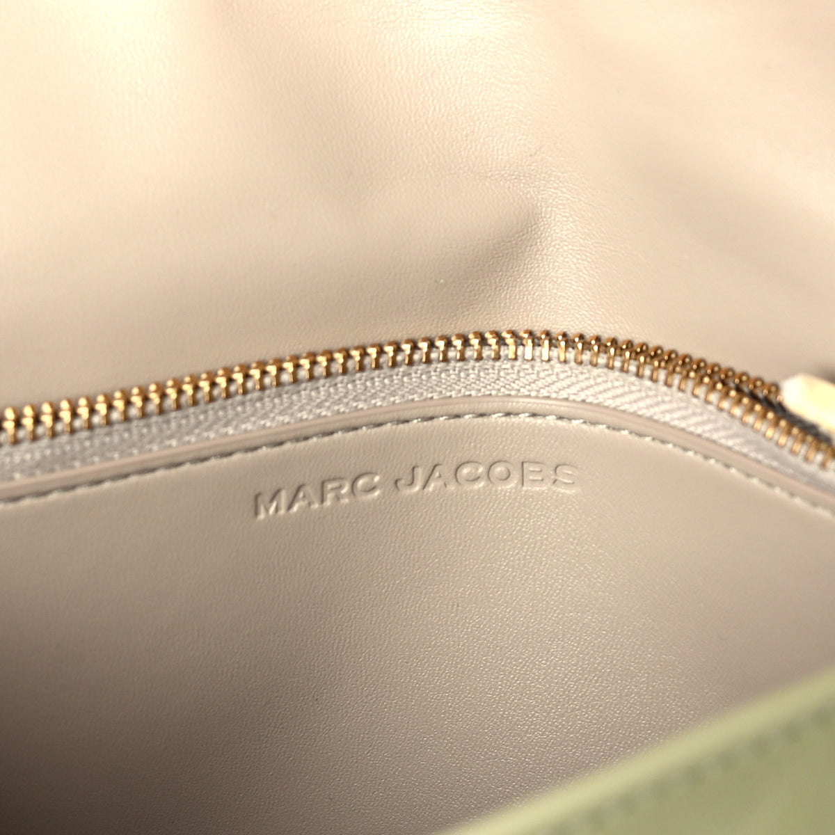 Calfskin Mini Dual Chain Bag Green