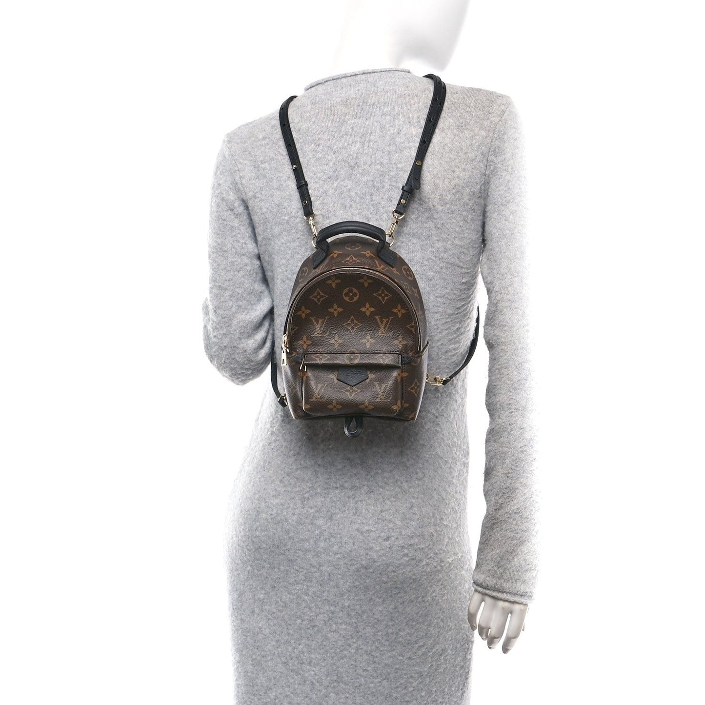 Monogram Palm Springs Backpack Mini