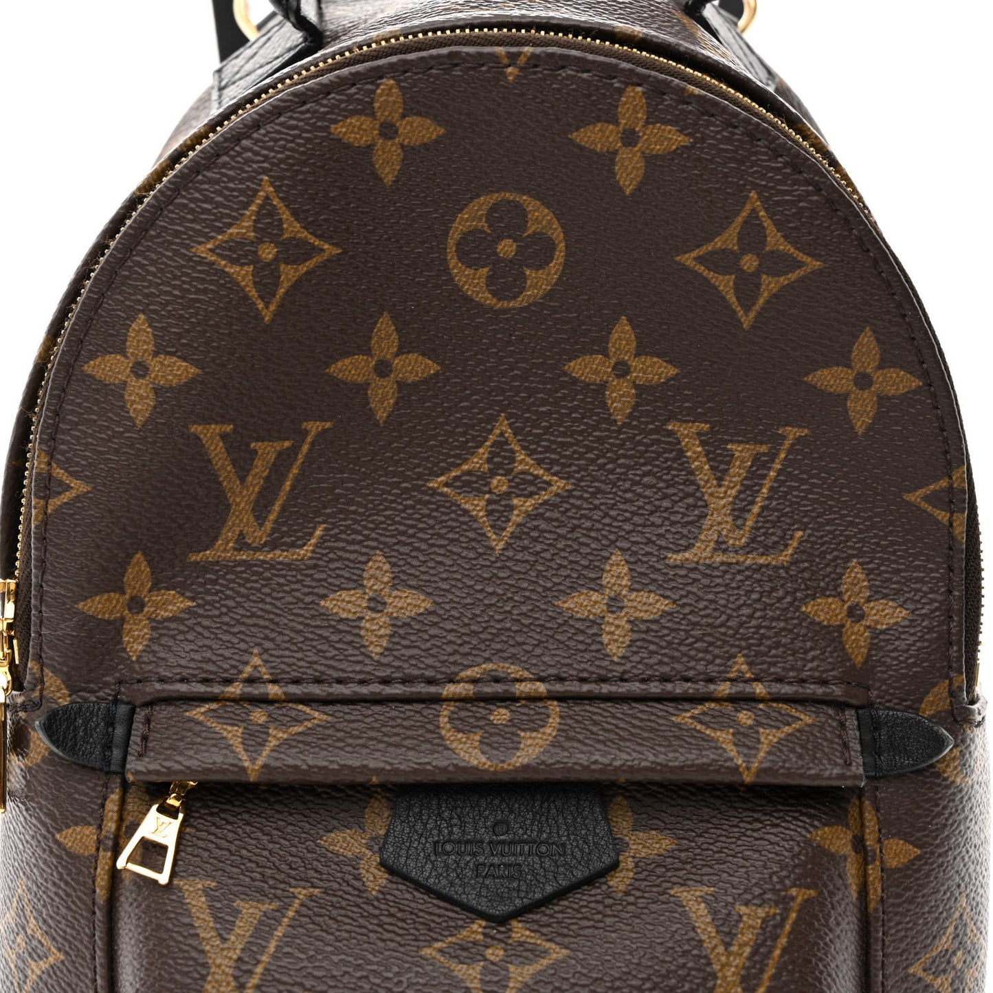 Monogram Palm Springs Backpack Mini