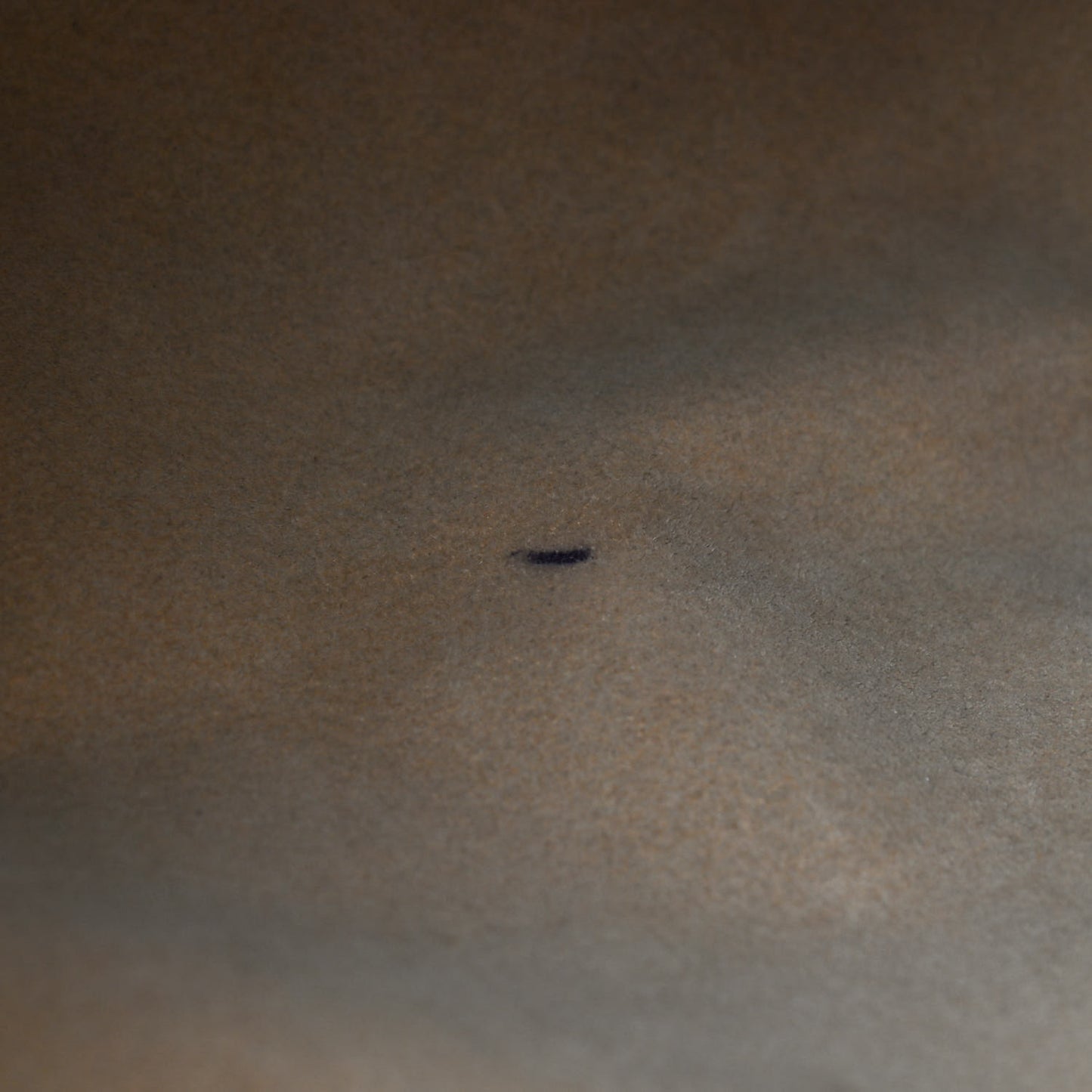 Monogram Galliera PM