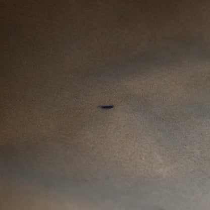 Louis Vuitton Monogram Galliera PM 6 of 15