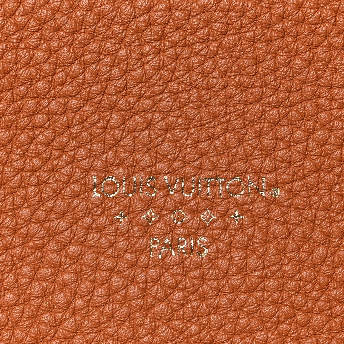 Grained Calfskin LV Pont 9 Soft MM Golden Siena