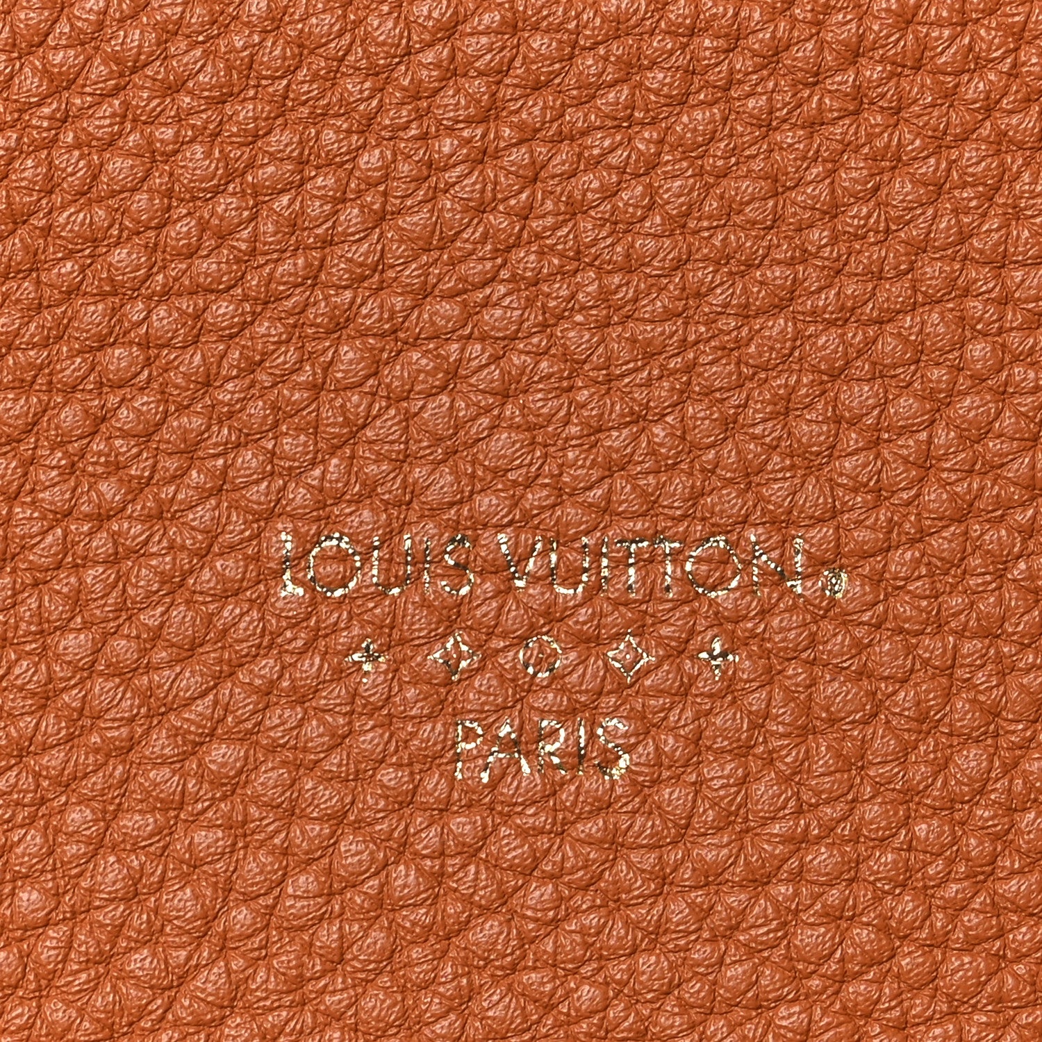 Louis Vuitton Grained Calfskin LV Pont 9 Soft MM Golden Siena 7 of 11