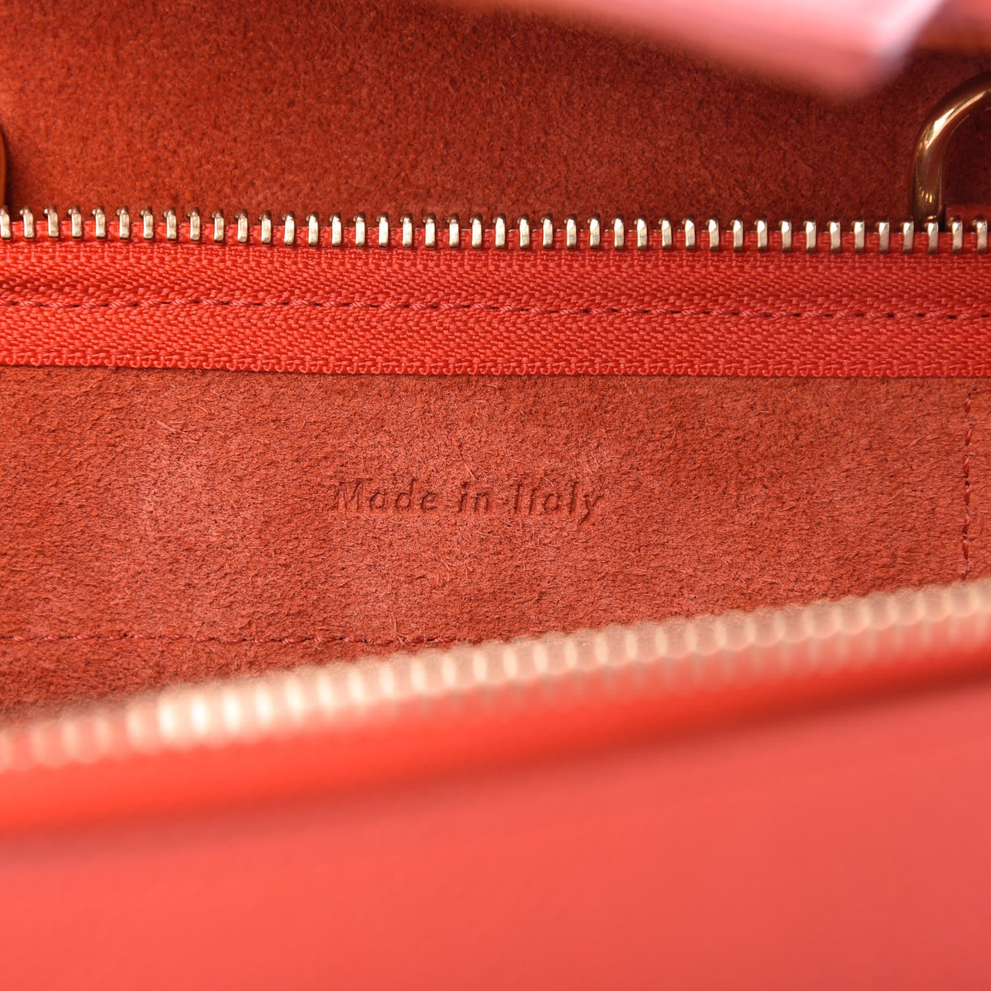 Grained Calfskin Nano Belt Bag Carnelian