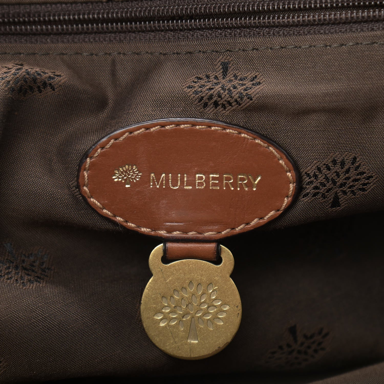Mulberry Soft Buffalo Medium Alexa Oak 5 of 17