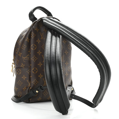 Louis Vuitton Reverse Monogram Palm Springs Backpack PM 3 of 12
