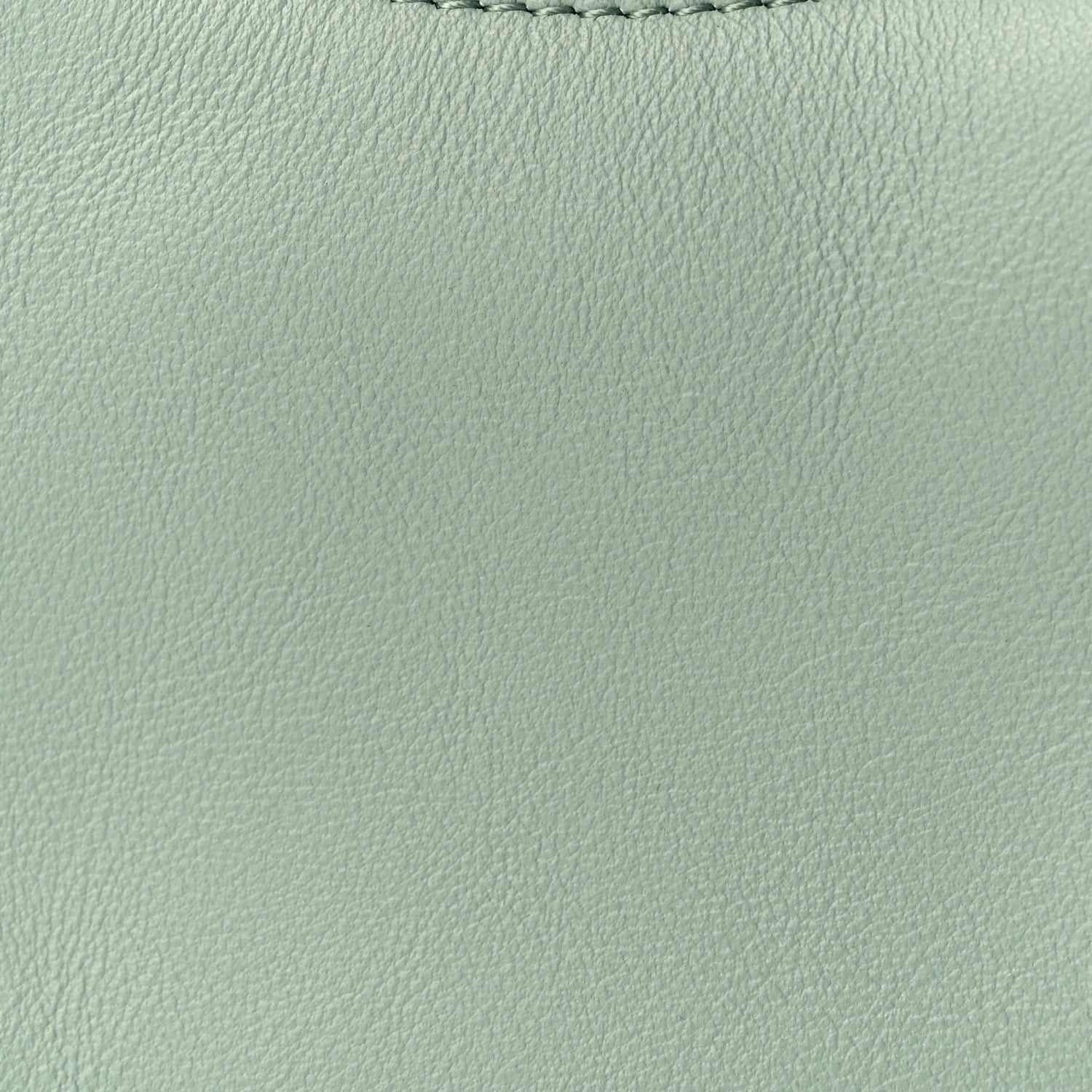Fendi Vitello Grace New Matte Nano graphy Hobo Charm Menta 14 of 16
