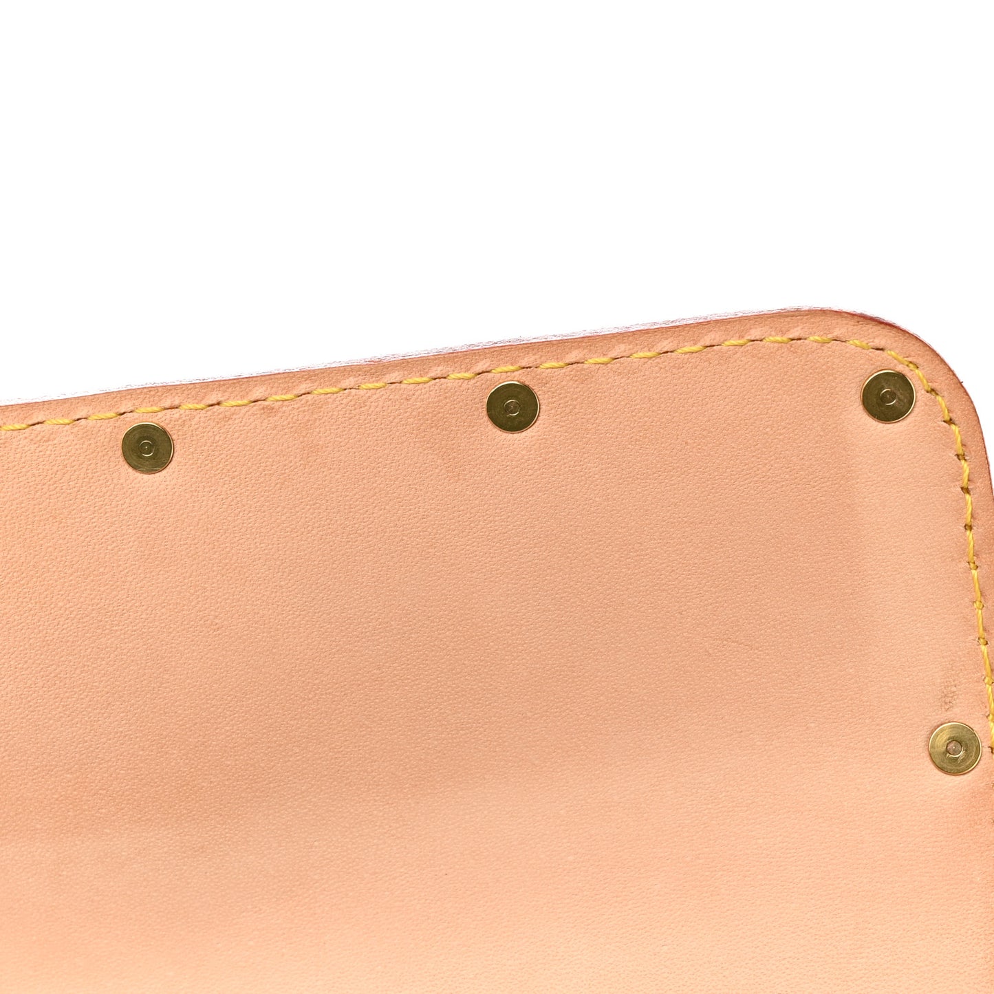 Monogram Multicolor Dalmatian Pochette