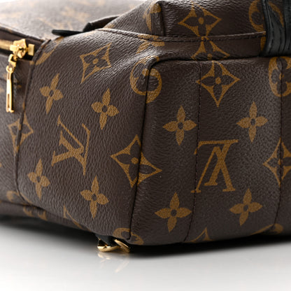 Louis Vuitton Monogram Palm Springs Backpack Mini 9 of 14