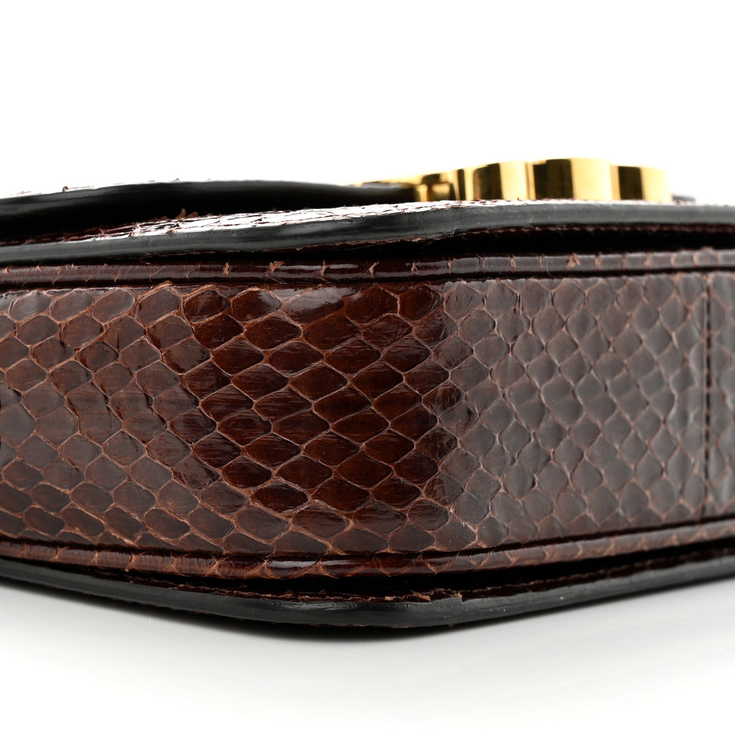 Watersnake Teen Triomphe Brown