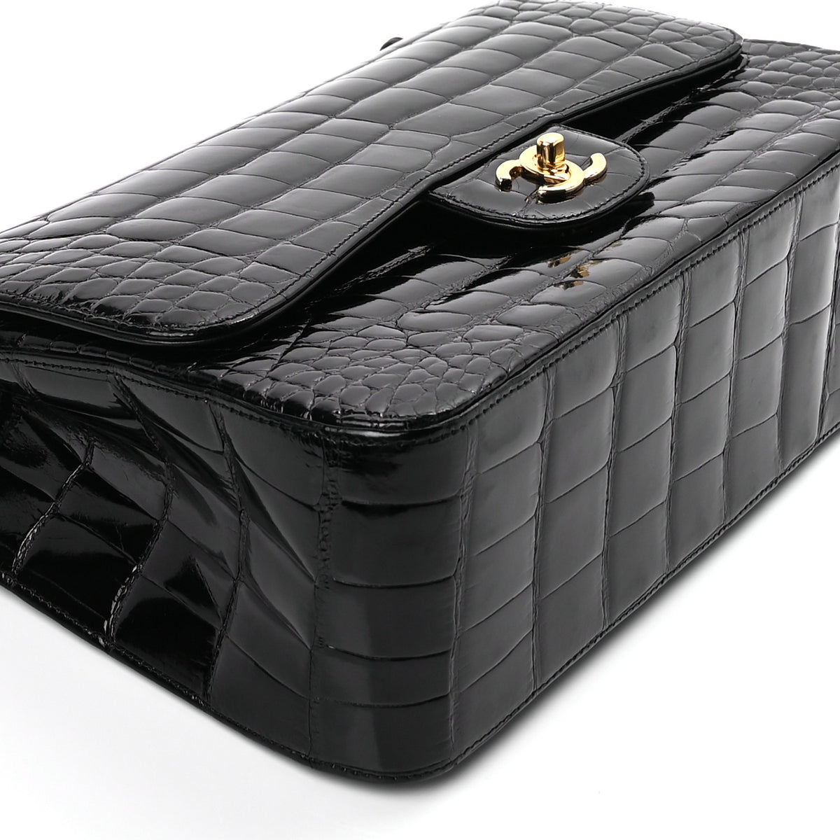 Alligator Jumbo Double Flap Black
