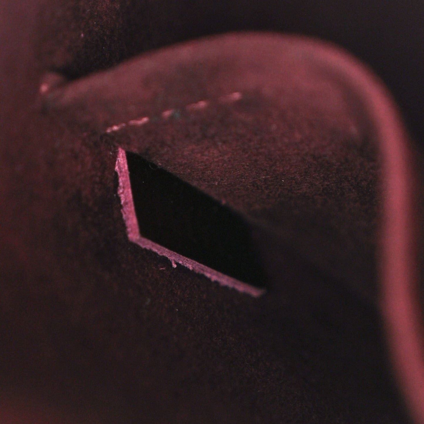 Electric Epi Alma PM Prune