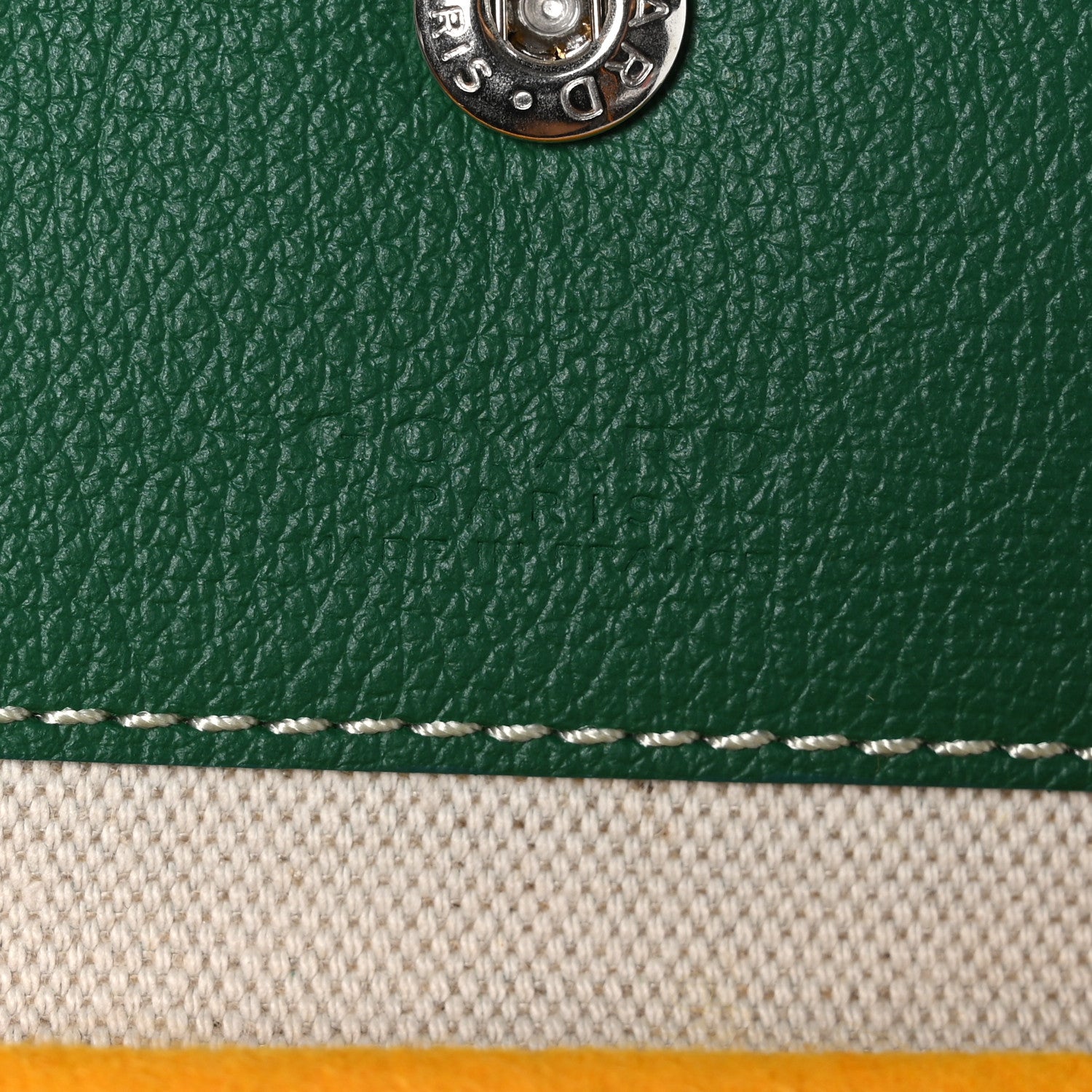 Goyard Goyardine Saint Louis PM Green 7 of 10