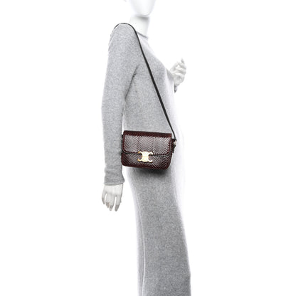 Celine Watersnake Teen Triomphe Brown 2 of 16