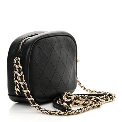 Chanel Goatskin Quilted Small Casual Trip Camera Case Black 3 of 10