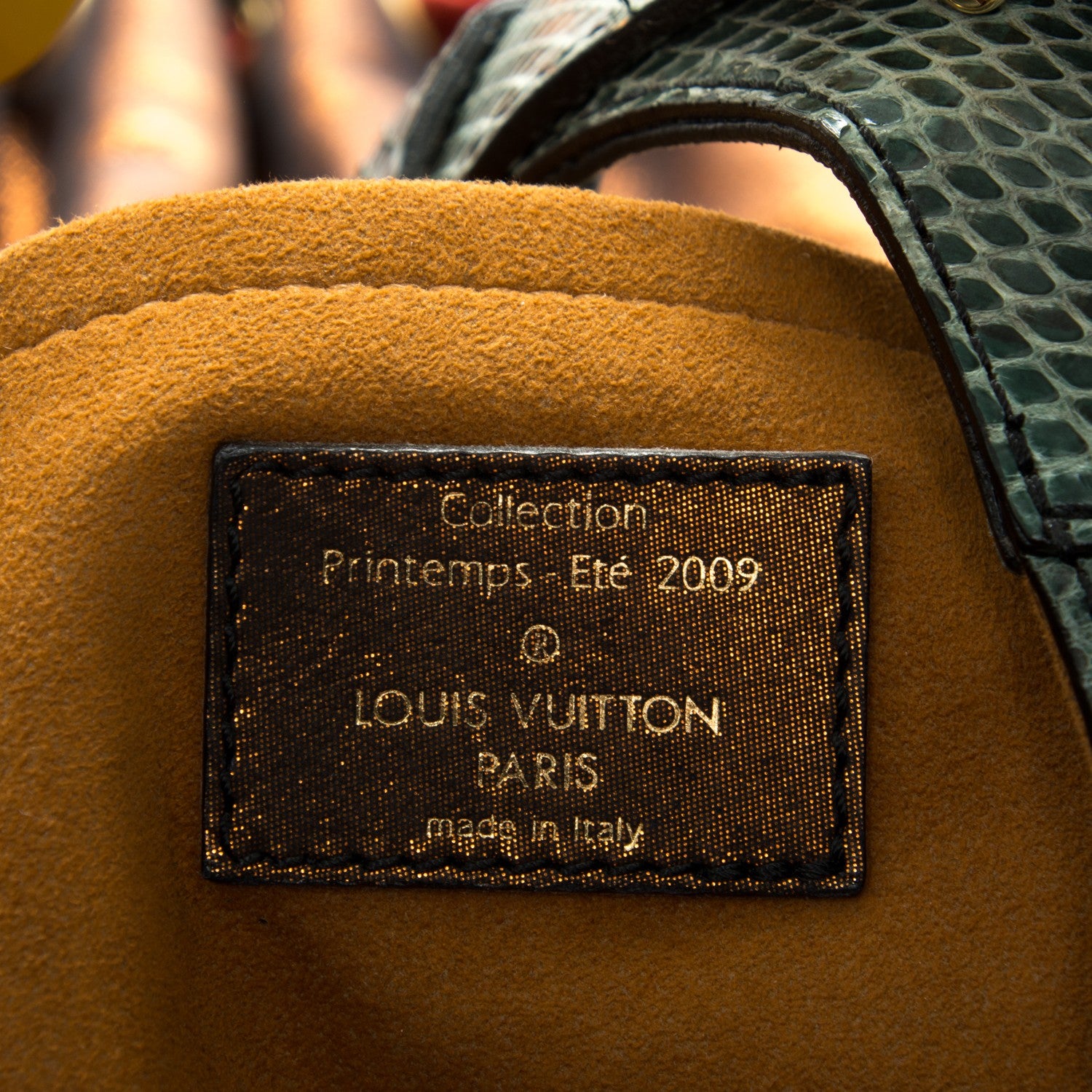 Louis Vuitton Monogram Epices Kalahari GM Masala 6 of 8