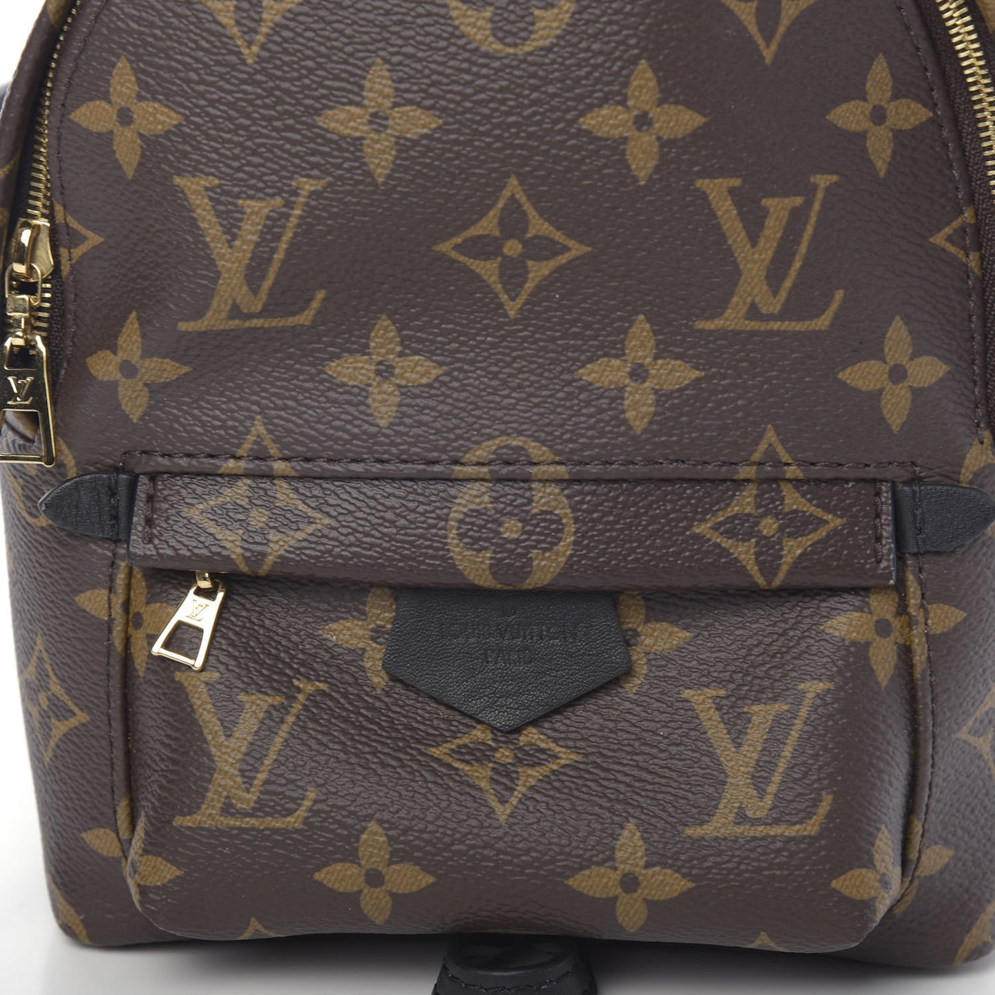 Monogram Palm Springs Backpack Mini