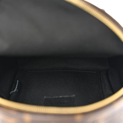 Louis Vuitton Monogram Palm Springs Backpack Mini 4 of 11