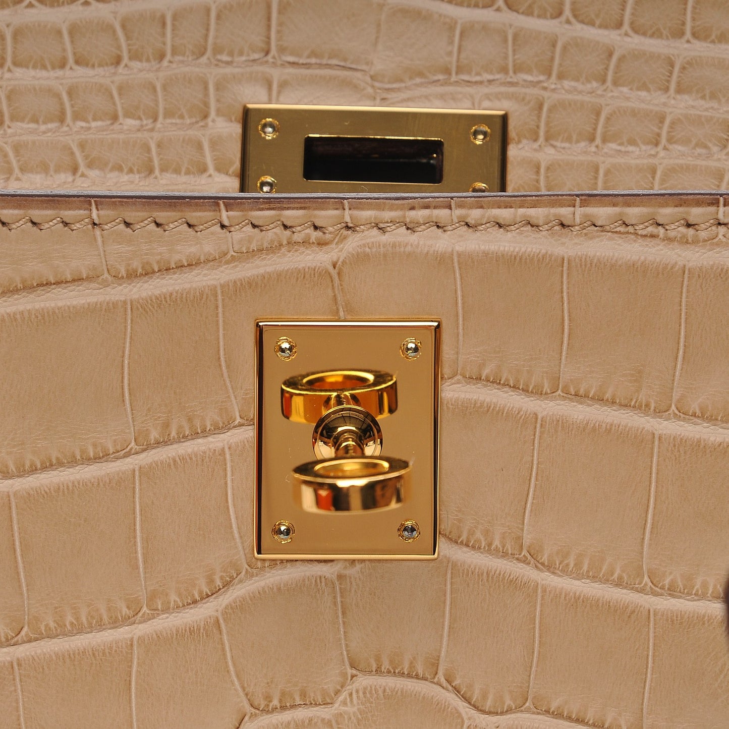 Matte Alligator Kelly Pochette Poussiere