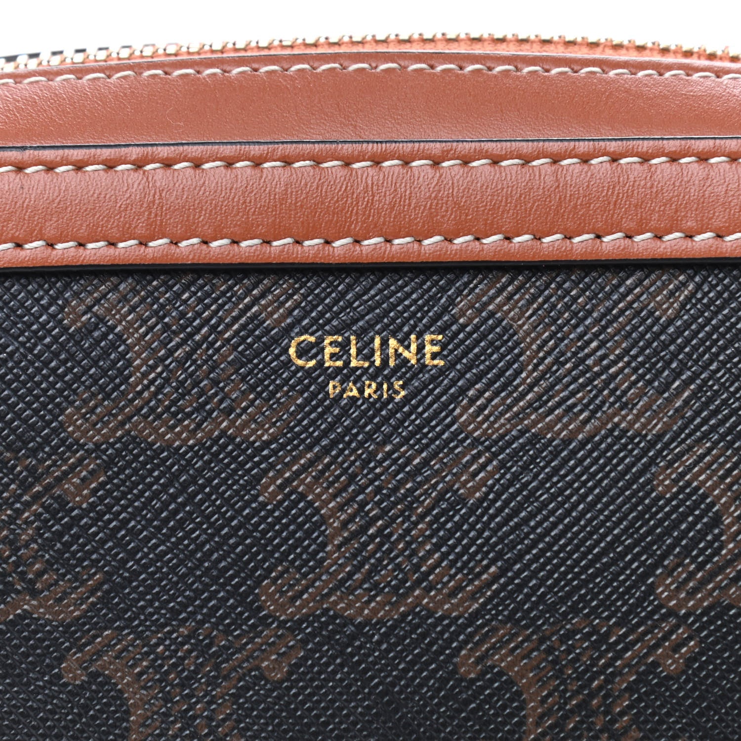 Celine Triomphe Canvas Small Camera Bag Tan 8 of 10