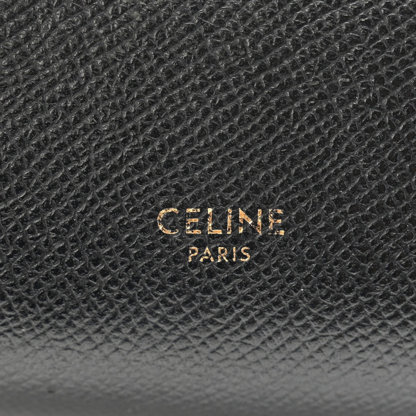 Grained Calfskin Pico Belt Bag Black