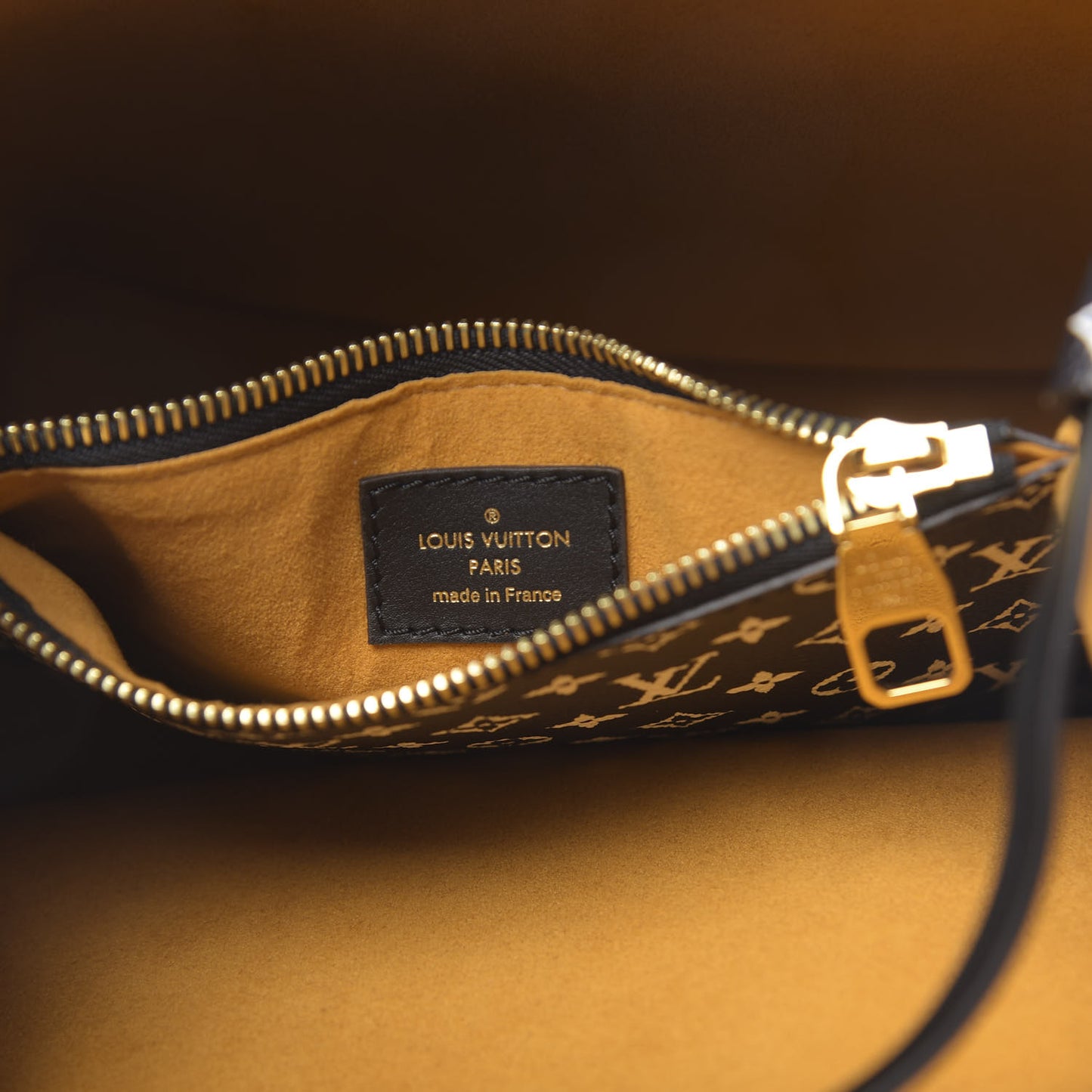 Monogram Giant Jungle NéoNoé Caramel