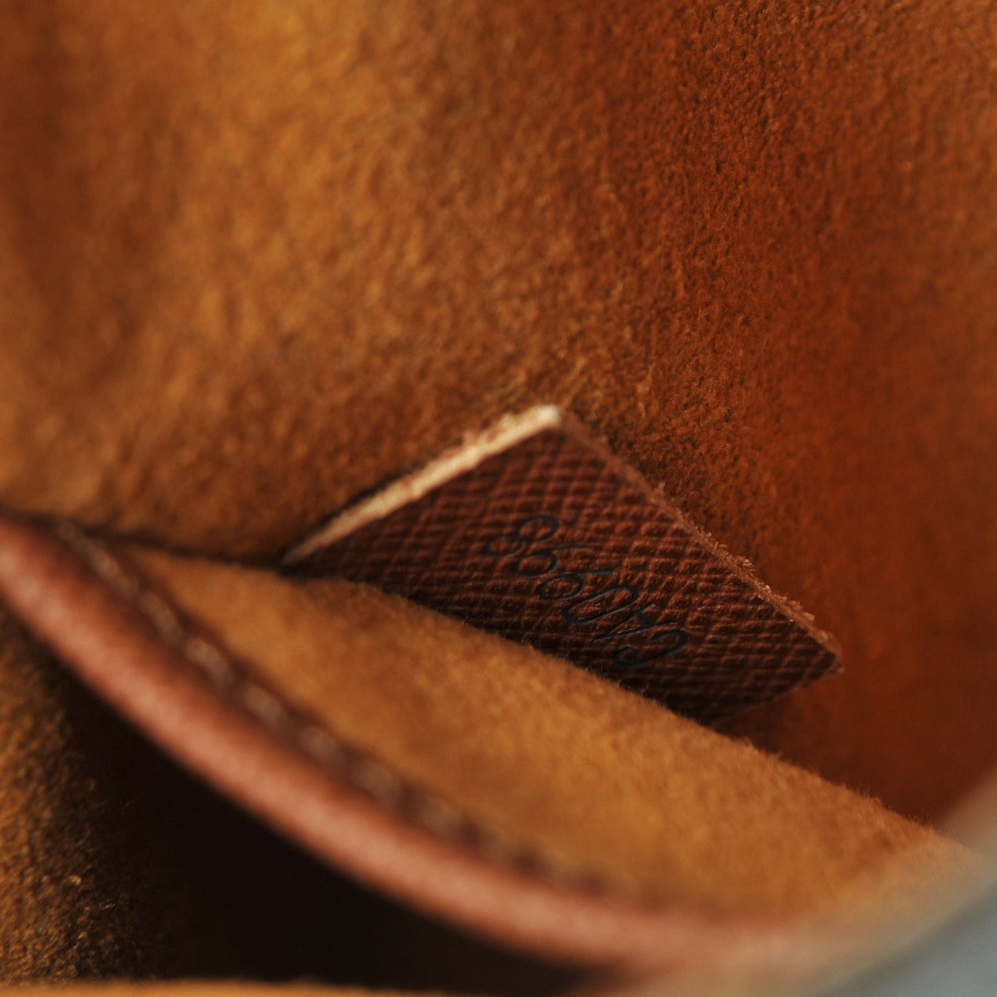 Monogram Musette Salsa