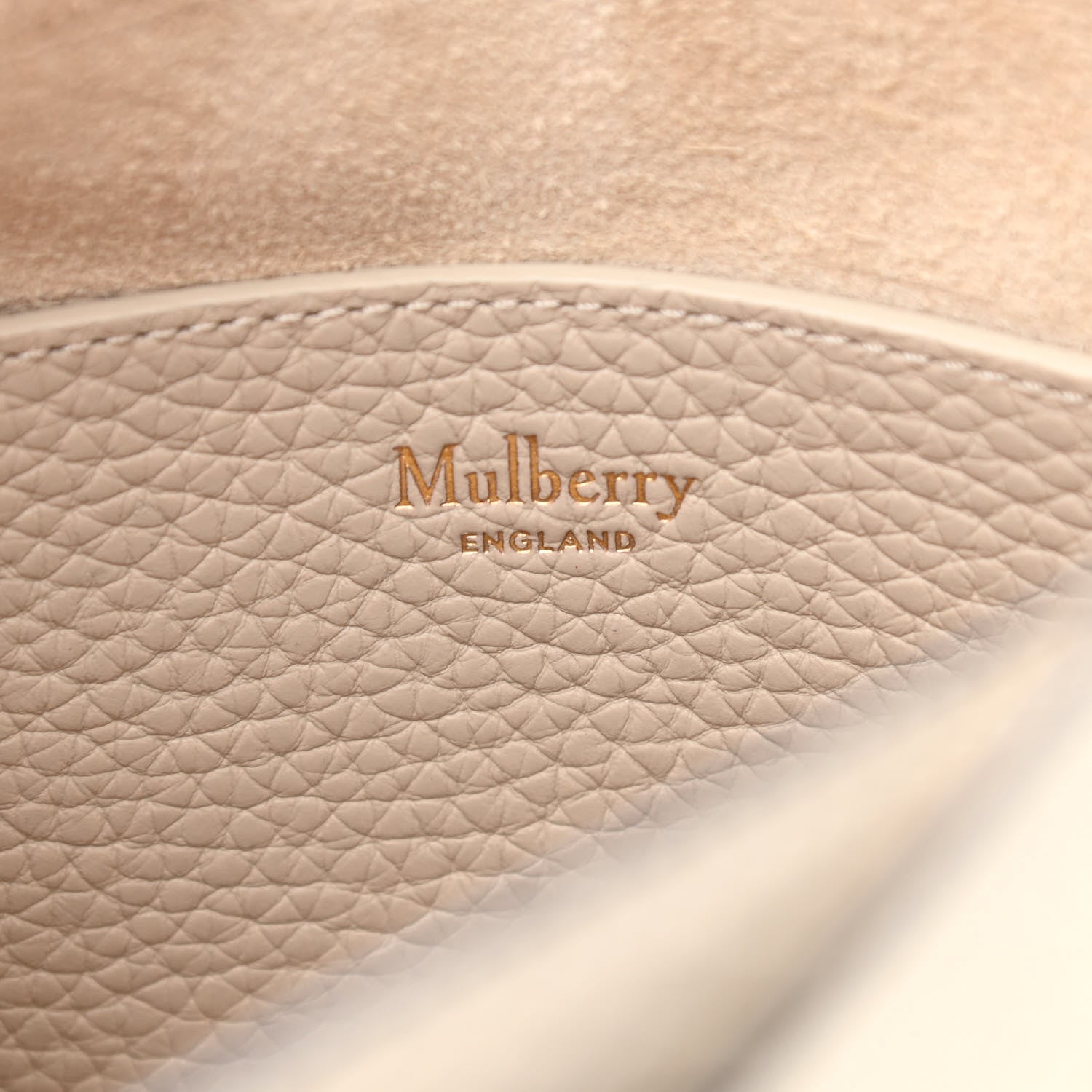 Mulberry Heavy Grain Mini Alexa Chalk 6 of 9
