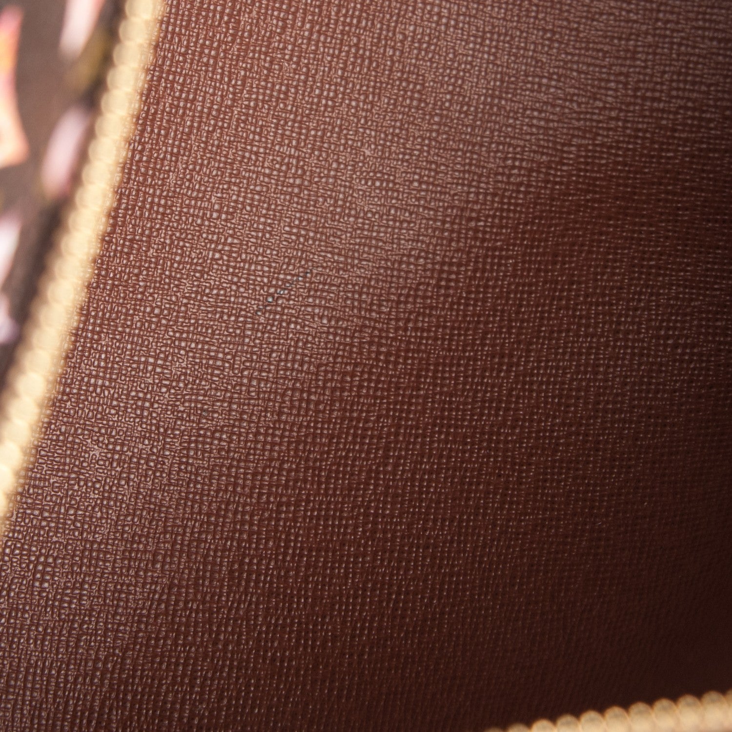 Louis Vuitton Watercolor Aquarelle Papillon 7 of 8