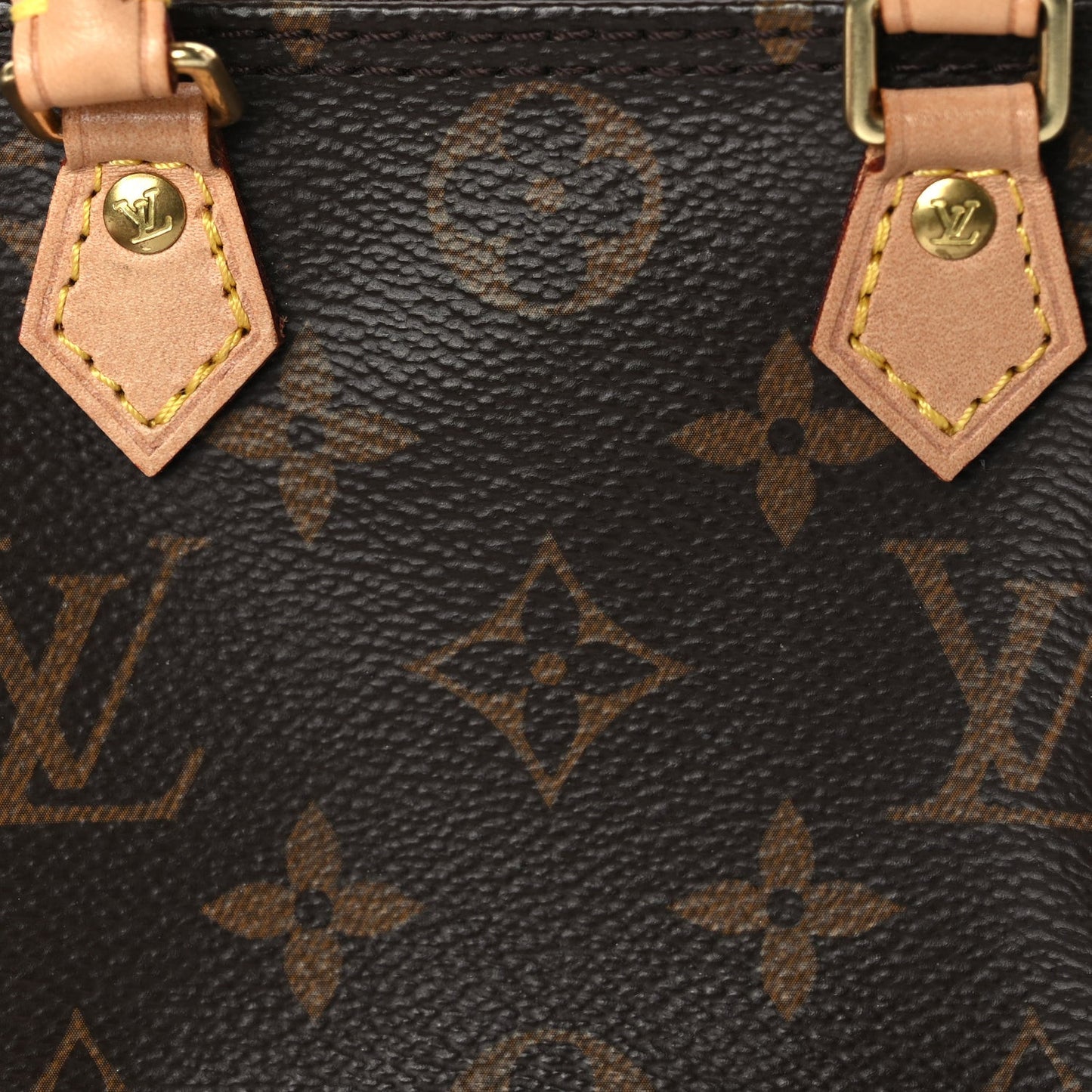 Monogram Nano Speedy