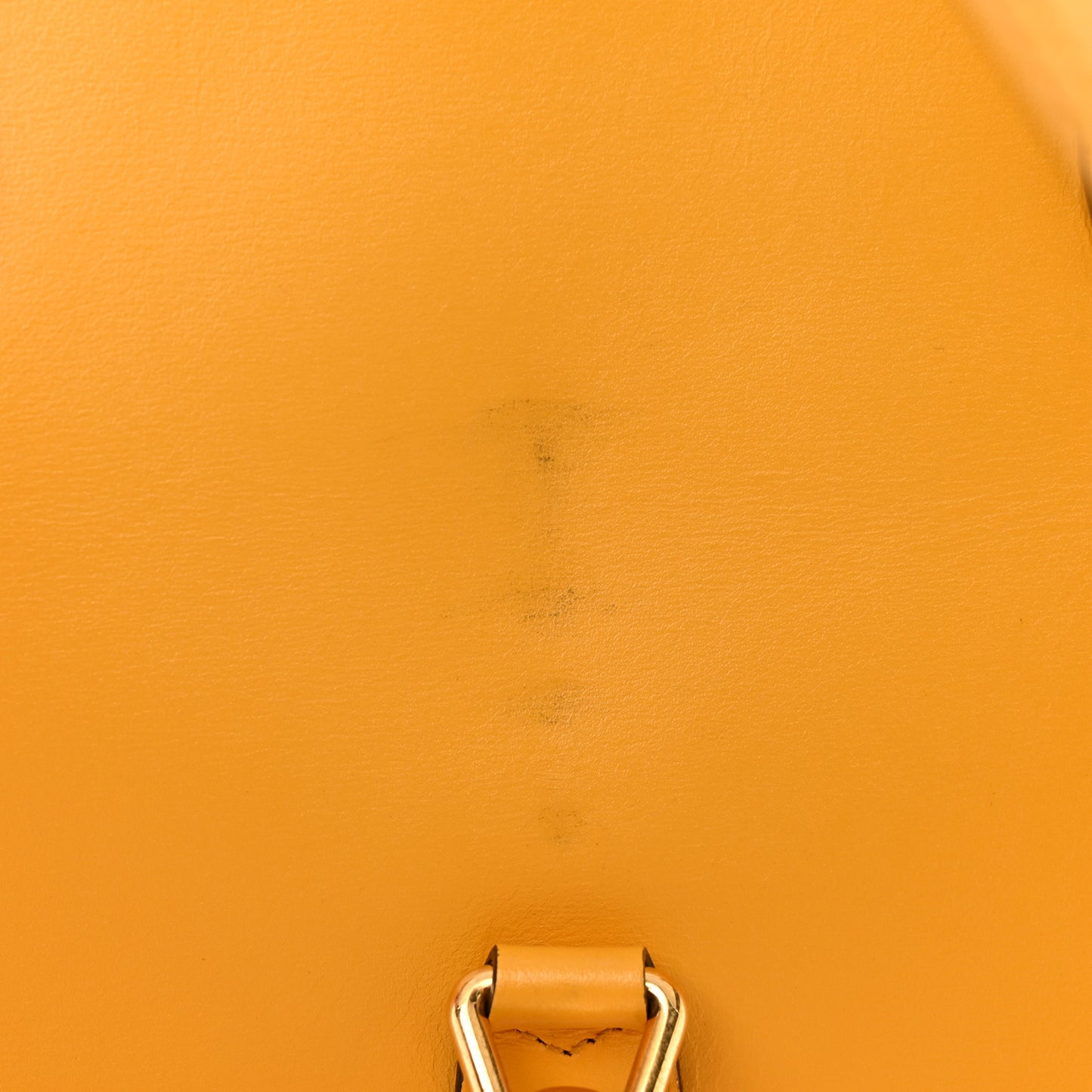 Boarded Plutone Calfskin Medium Jackie 1961 Tote Crop