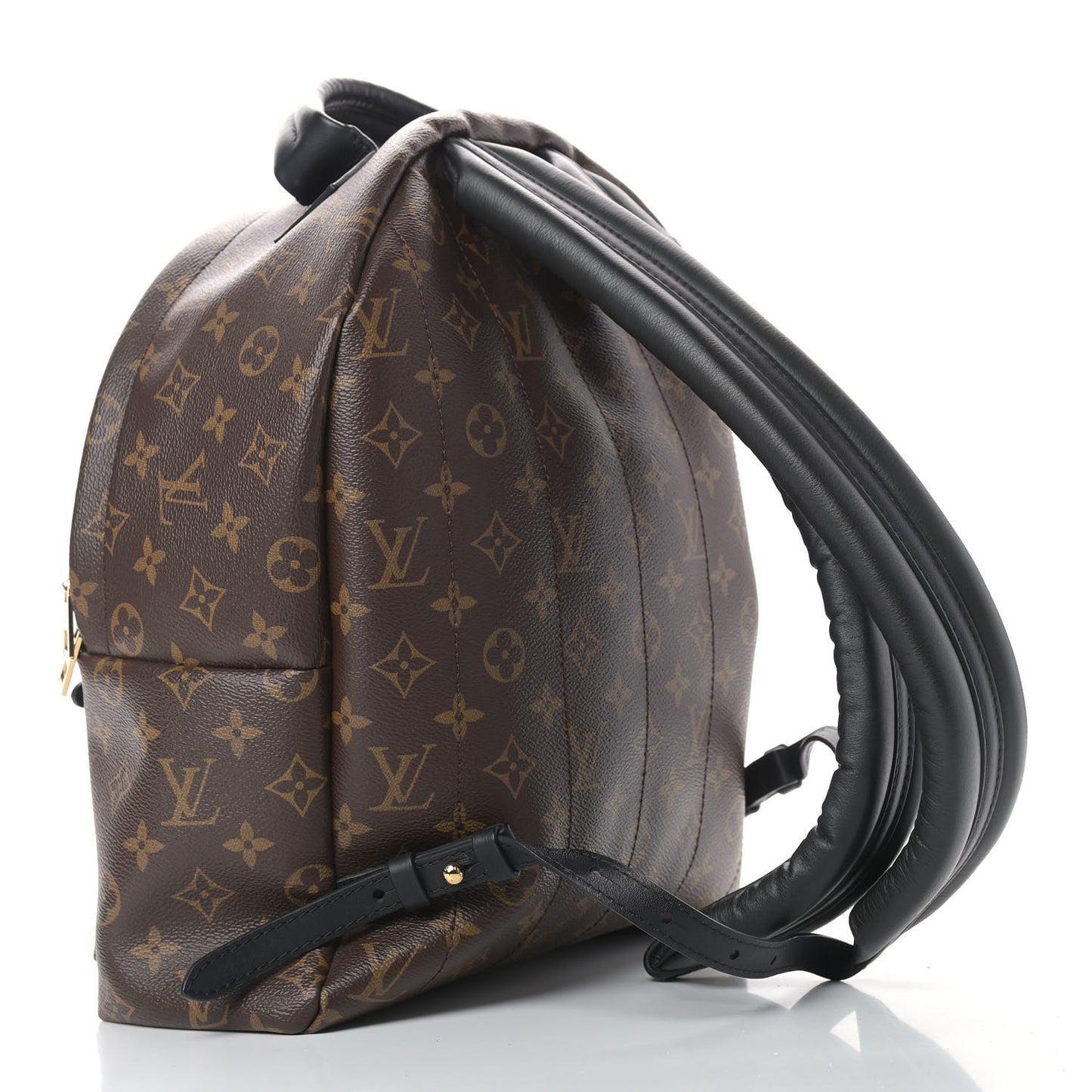 Monogram Palm Springs Backpack MM