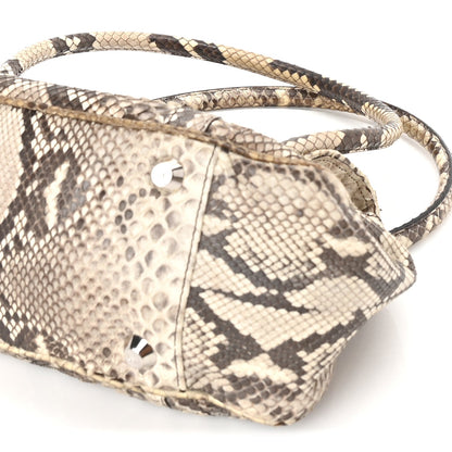 Christian Dior Snakeskin Saint Germain Bag Beige 8 of 8