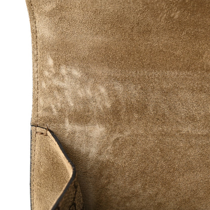 Gucci GG Supreme Monogram Lightning Embroidered Medium Dionysus Shoulder Bag Beige 12 of 12