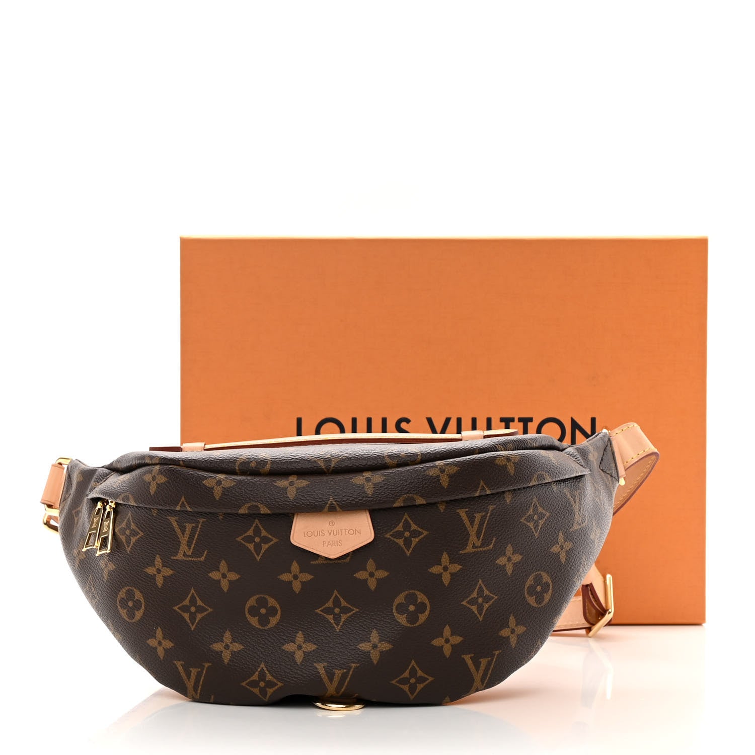 Louis Vuitton Monogram Bumbag 14 of 14