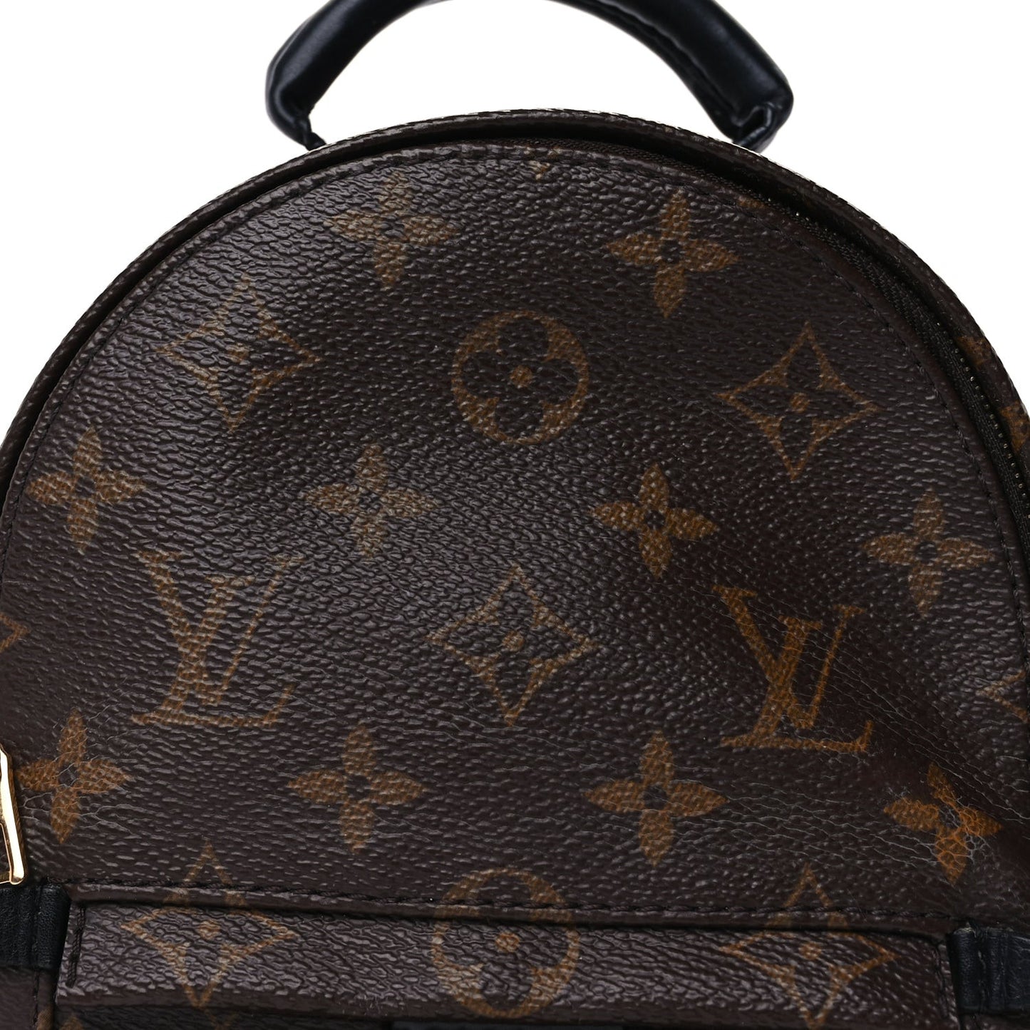 Monogram Palm Springs Backpack Mini Black