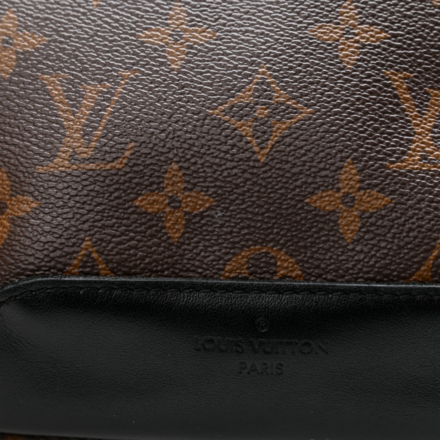 Monogram Macassar Avenue Sling Bag