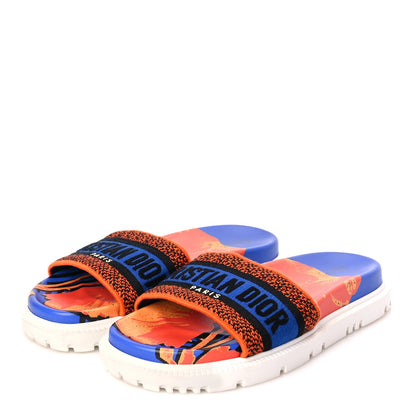 Christian Dior Canvas D-Flower Pop Embroidered Dway 10mm Slide Sandals 37.5 Blue Orange 4 of 7