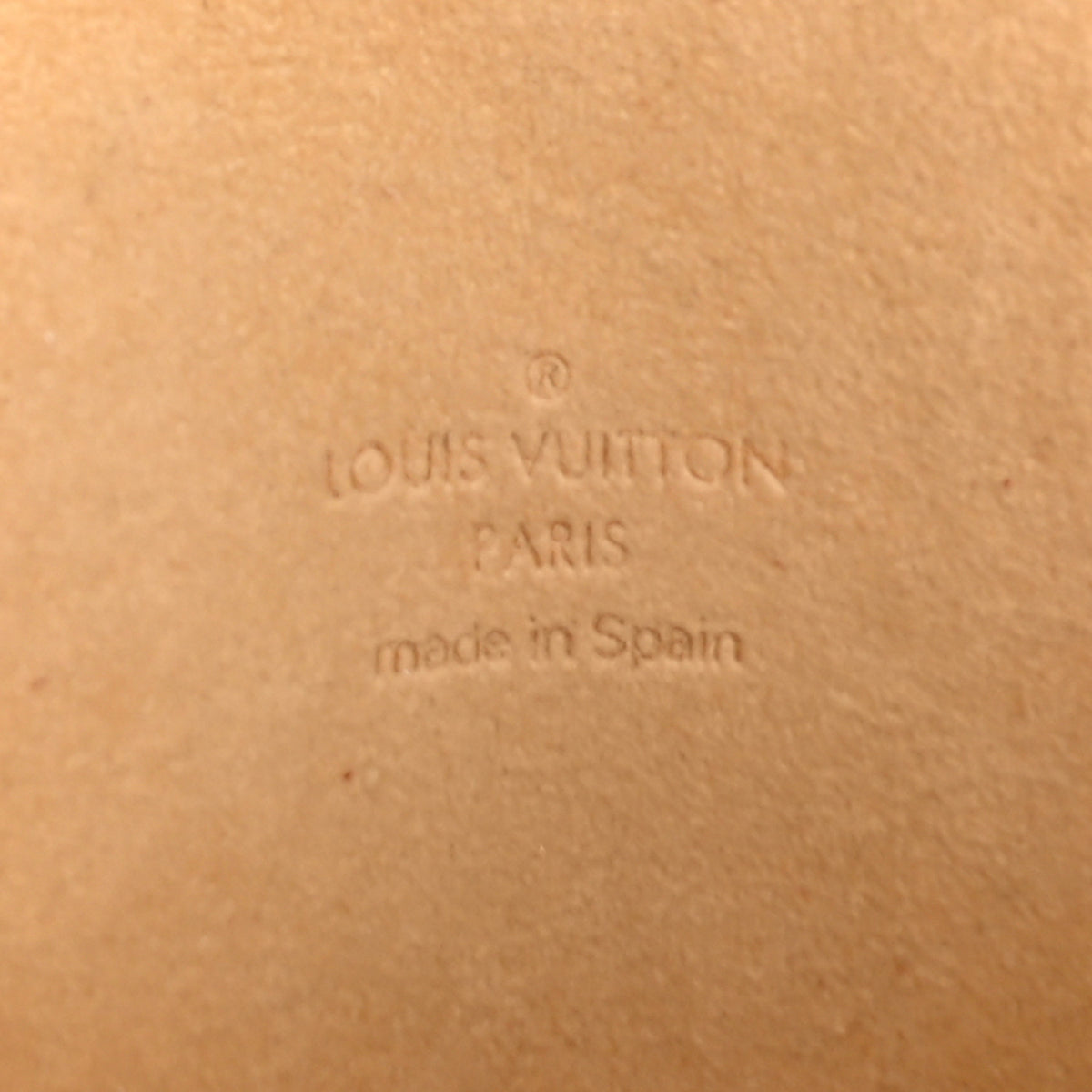 Monogram Pochette Twin PM