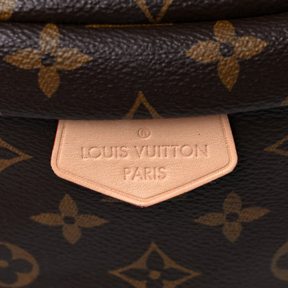 Louis Vuitton Monogram Bumbag 9 of 10