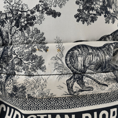 Christian Dior Nylon Technical Fabric Toile De Jouy Small Diortravel Backpack Blue 9 of 11