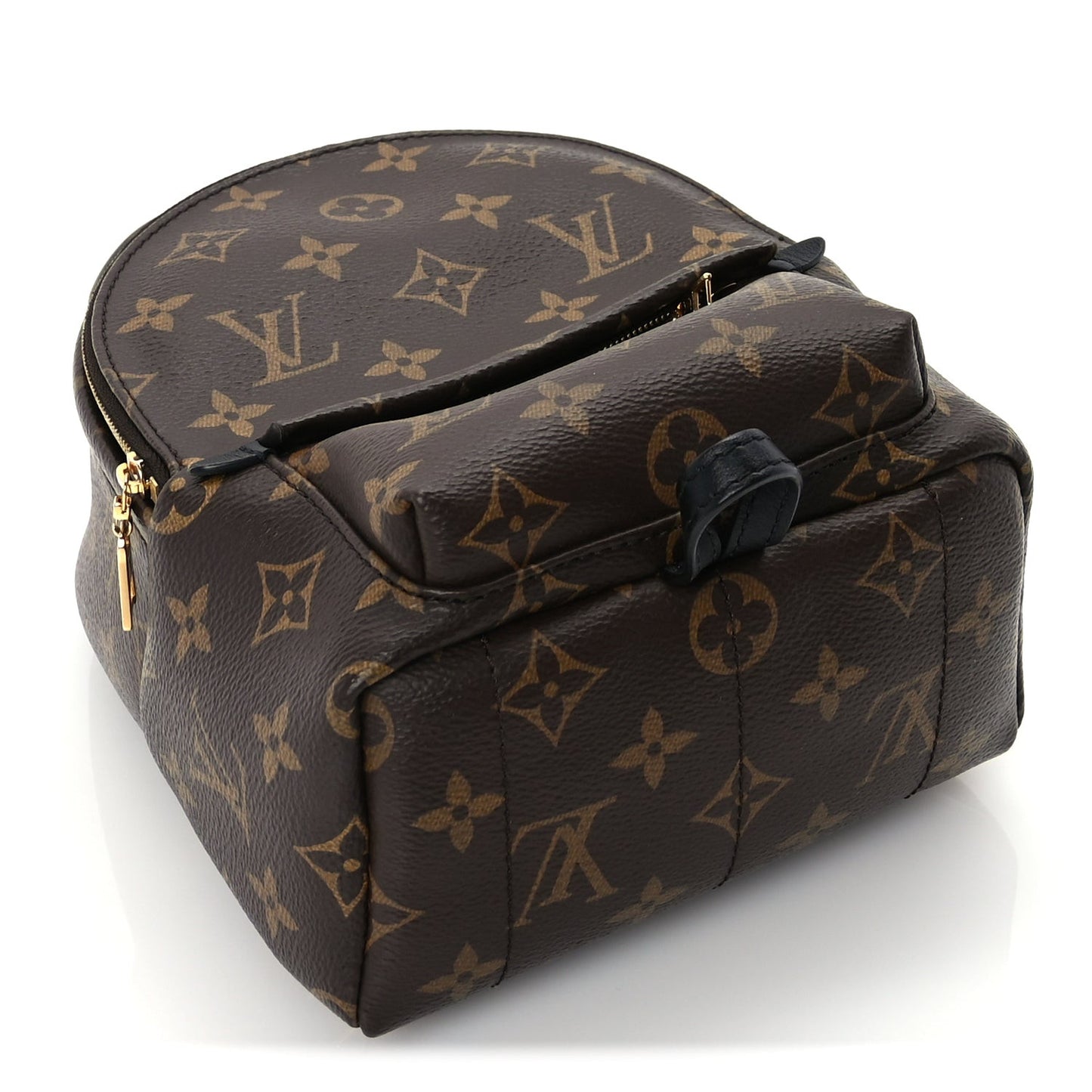 Monogram Palm Springs Backpack Mini Black