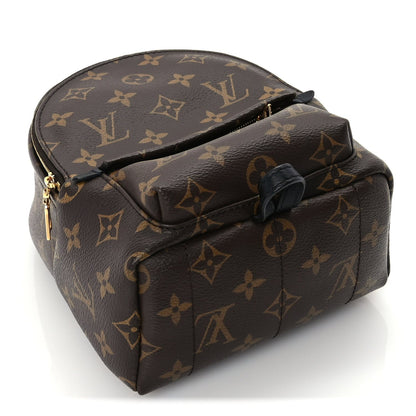 Louis Vuitton Monogram Palm Springs Backpack Mini Black 3 of 8