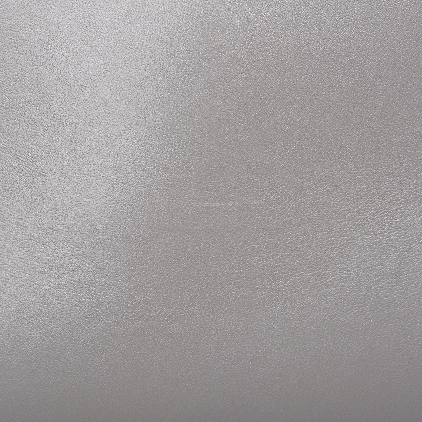Calfskin Monogram Baby Cabas Fog