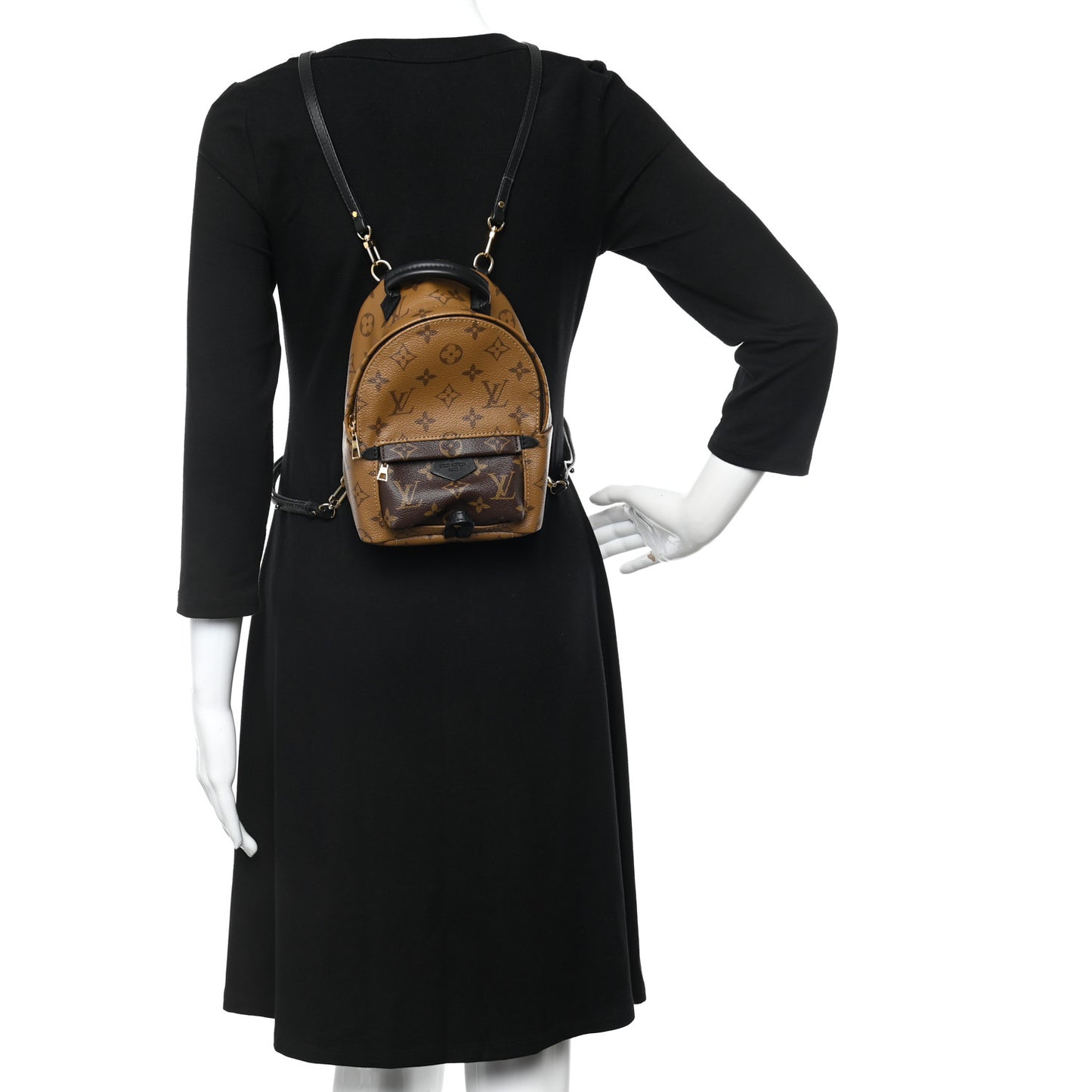 Reverse Monogram Palm Springs Backpack Mini