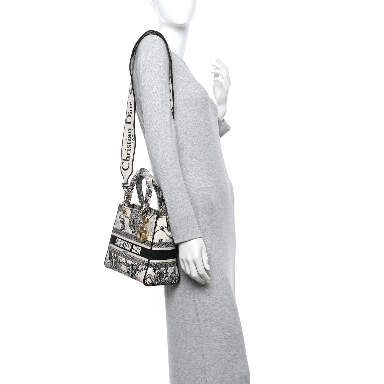 Christian Dior Canvas Embroidered Zodiac Toile De Jouy Medium Lady D-Lite Latte 2 of 12