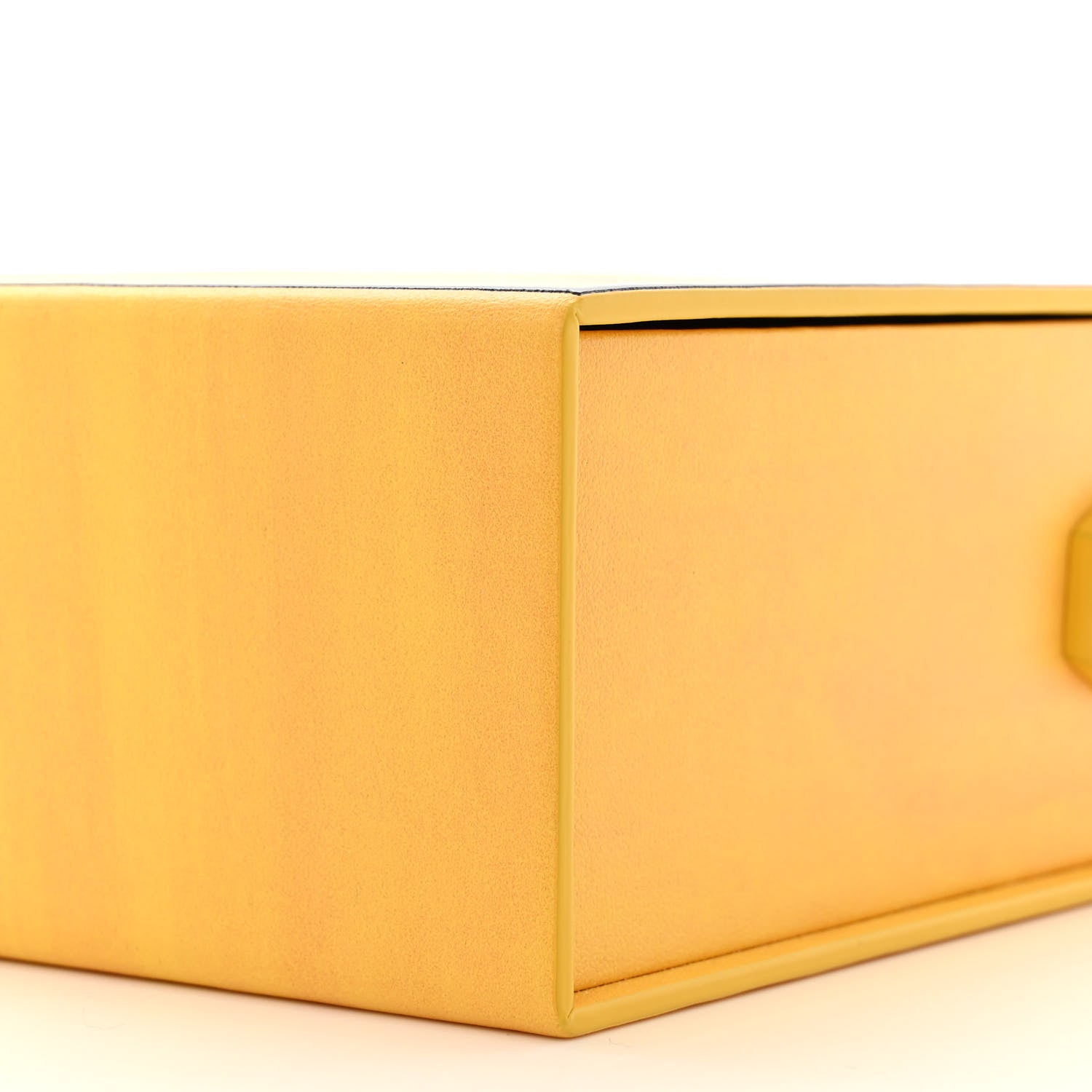 Fendi Vitello Fluffy Logo Vertical Box Yellow Box Black 10 of 10