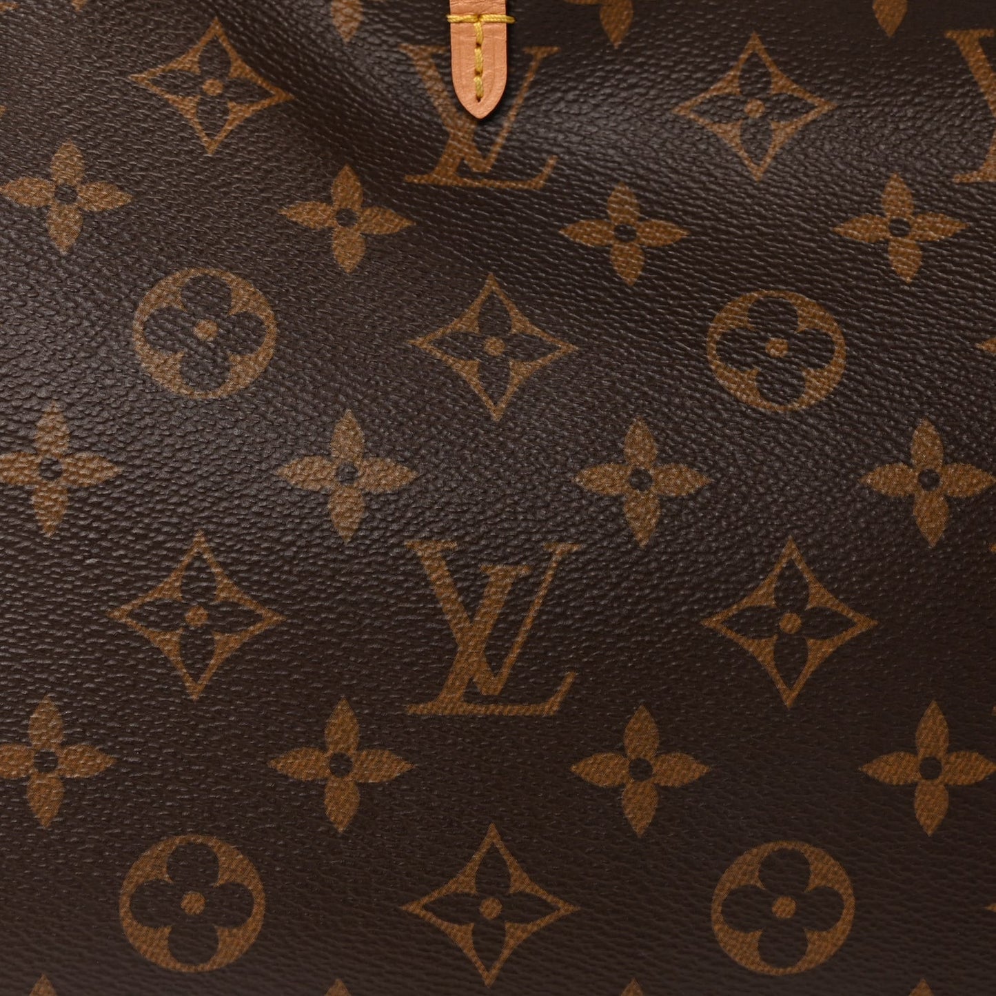 Monogram CarryAll PM