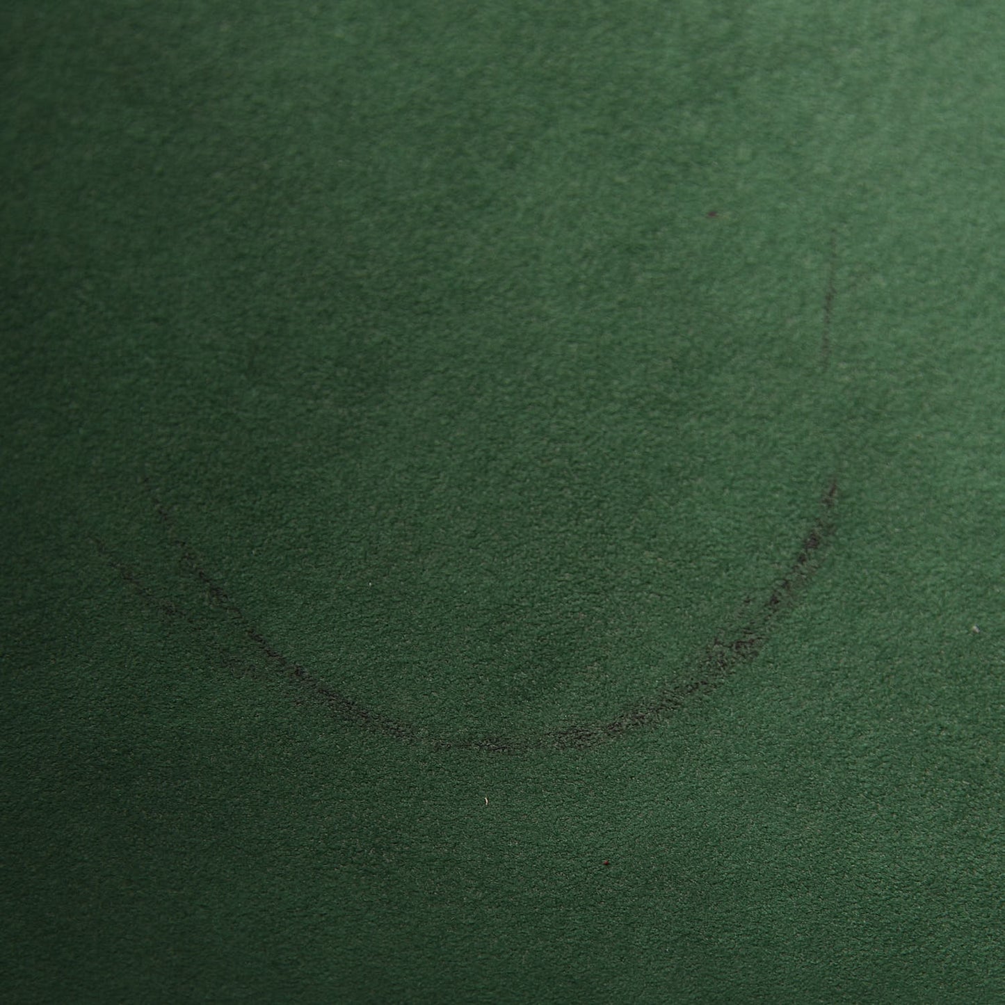 Epi Neverfull MM Menthe